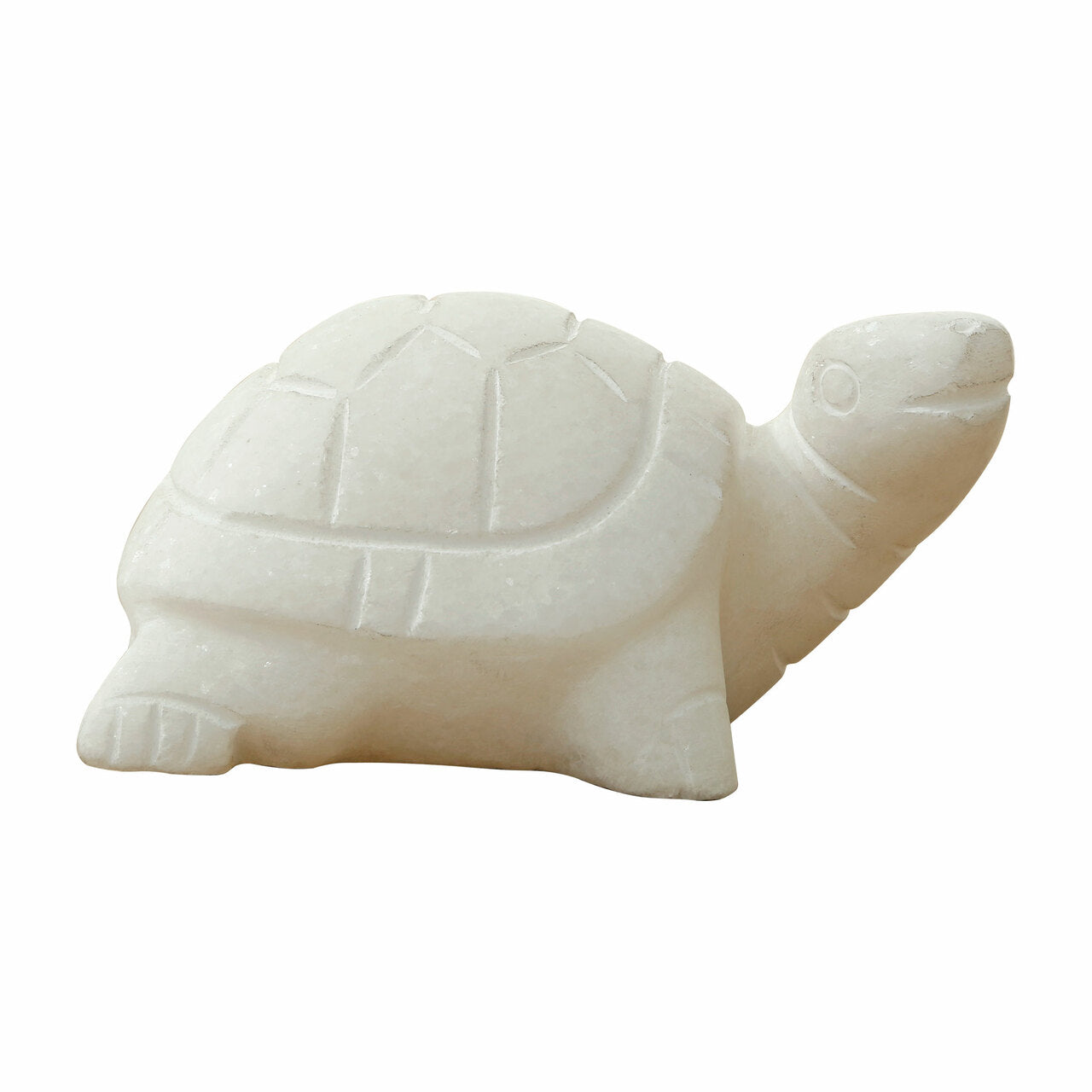 White Marble Turtle
